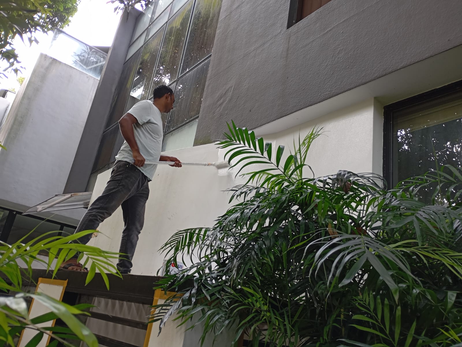 Professional Painting Service in Singapore | Eco-Friendly & Expert Solutions